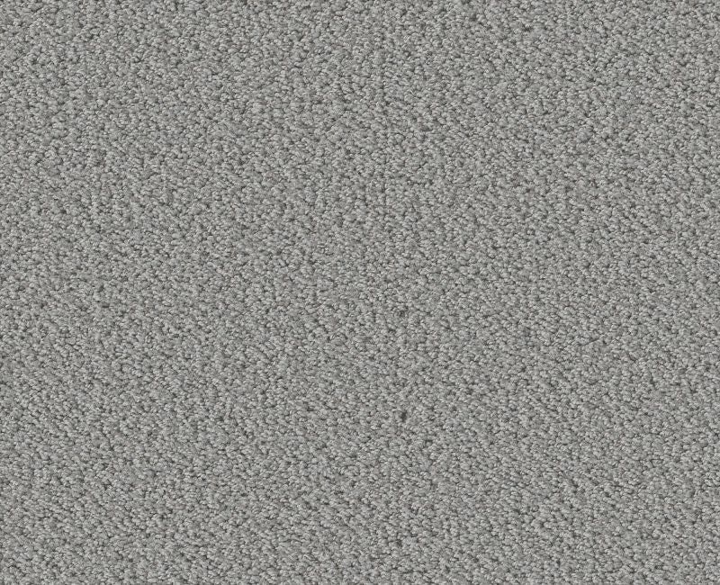 Rare Find Sentimental Nylon Carpet - Loop