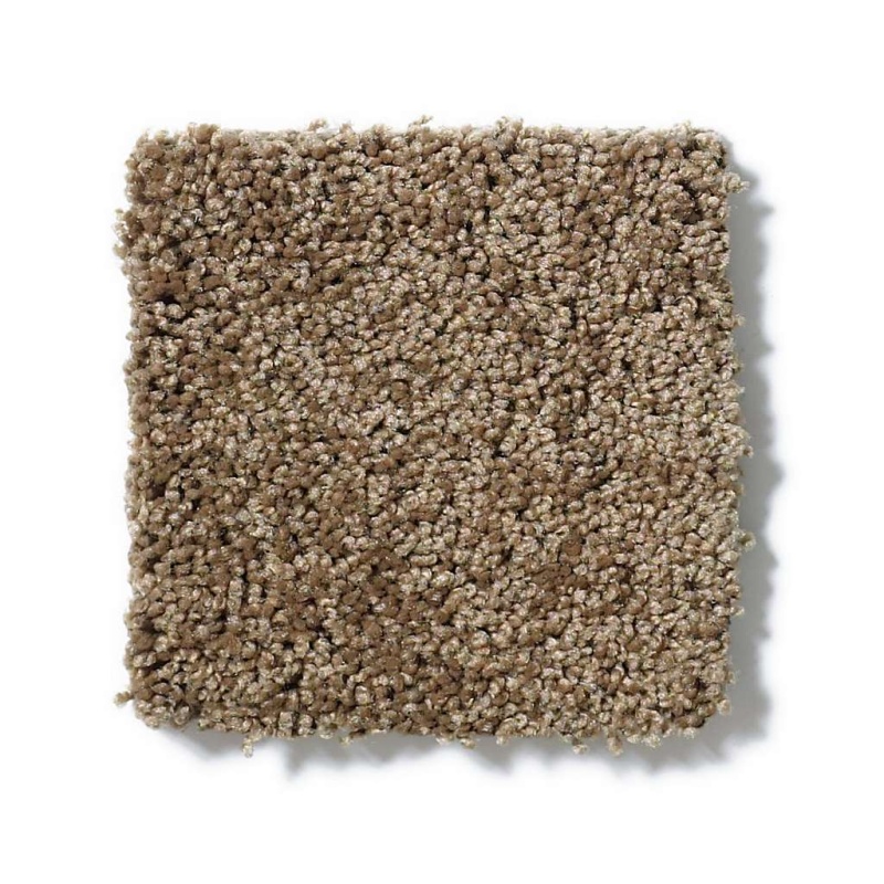 Enduring Comfort Iii Bonsai Nylon Carpet - Textured