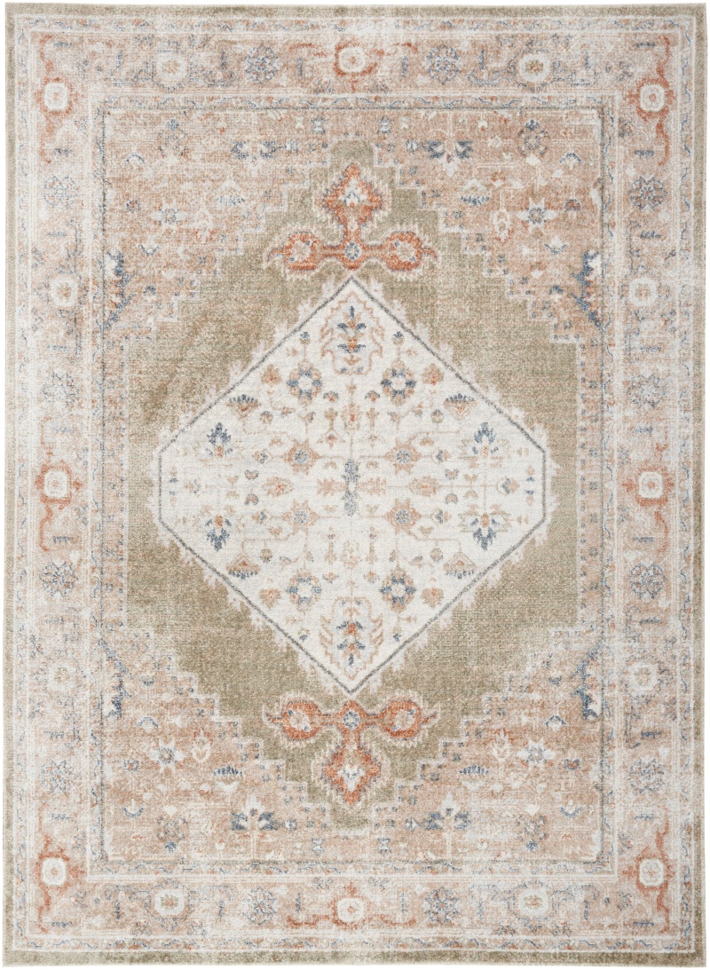 Astra Machine Washable Sage Multi Vintage Area Rug