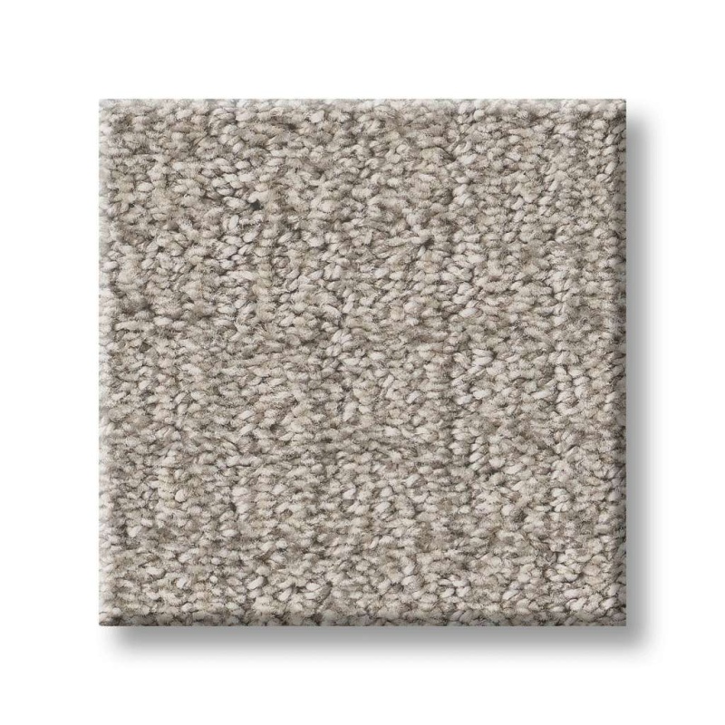 Path Home Sculpture Polyester Carpet - Pattern