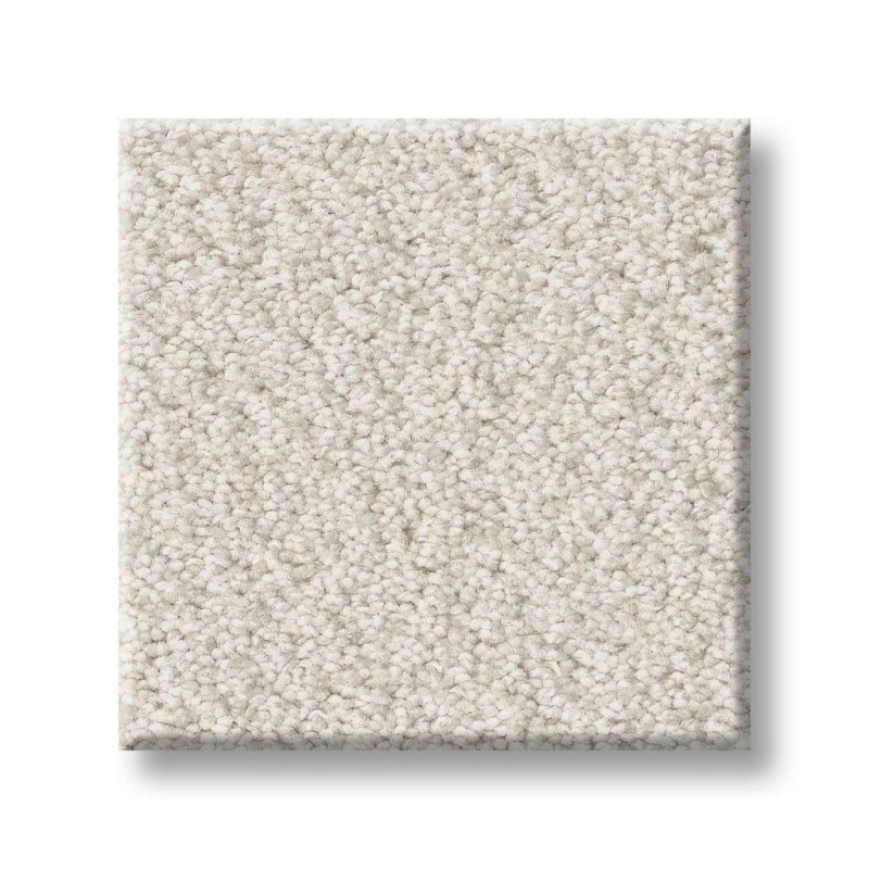 Foundations Fine Tapestry Champagne Toast Nylon Carpet - Pattern