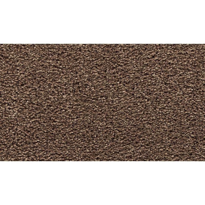 Bold Choice Cattails Polyester Carpet - Textured
