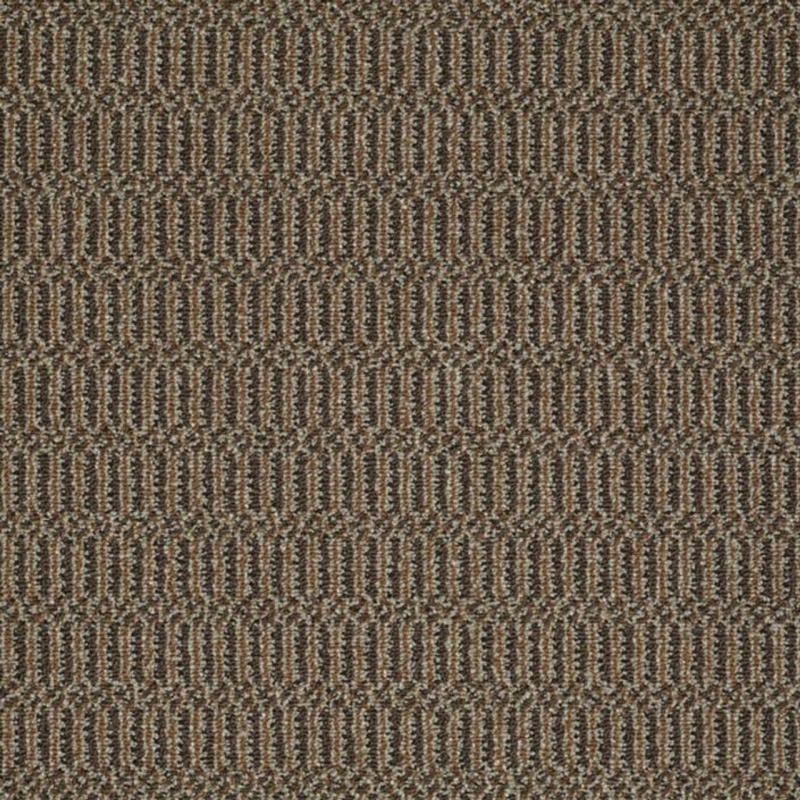 Clearance Sale! Sourcebook Iii On Site Brown Nylon Carpet - Loop