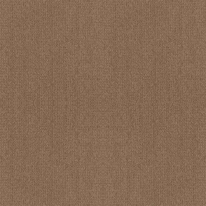Foundations Fine Tapestry Raw Wood Nylon Carpet - Pattern