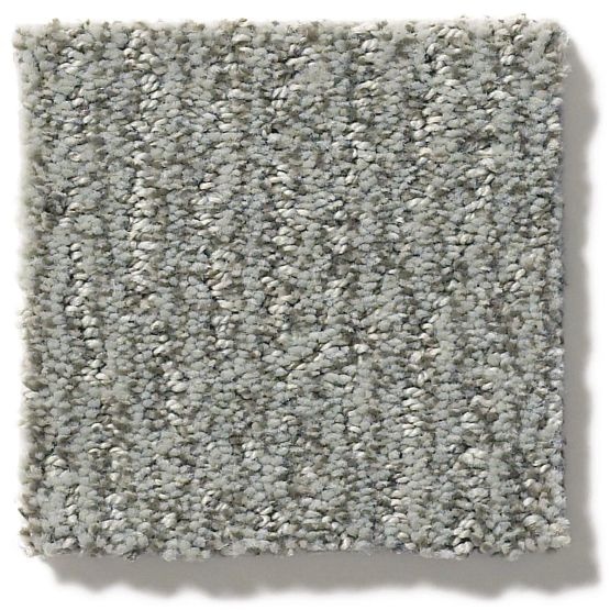 Pet Perfect Fur Ever Avon Nylon Carpet - Pattern