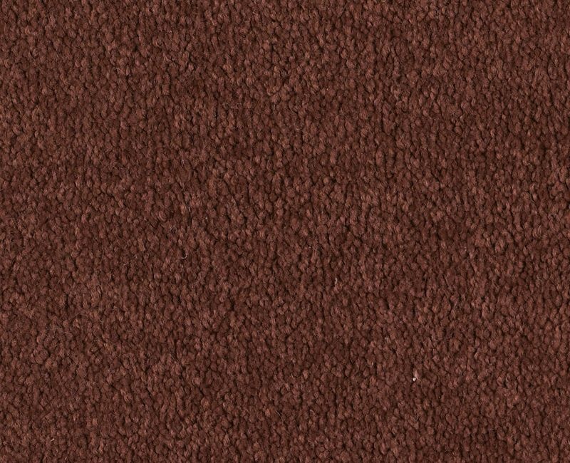 Before Dawn (S) Magic Lantern Nylon Carpet - Textured