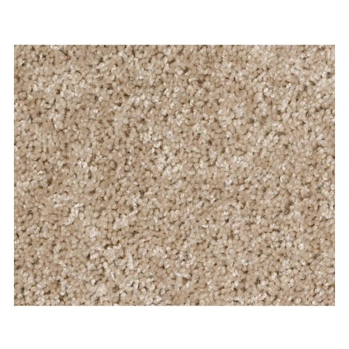 Vermont (S) 12' Gallery Textured Nylon Carpet