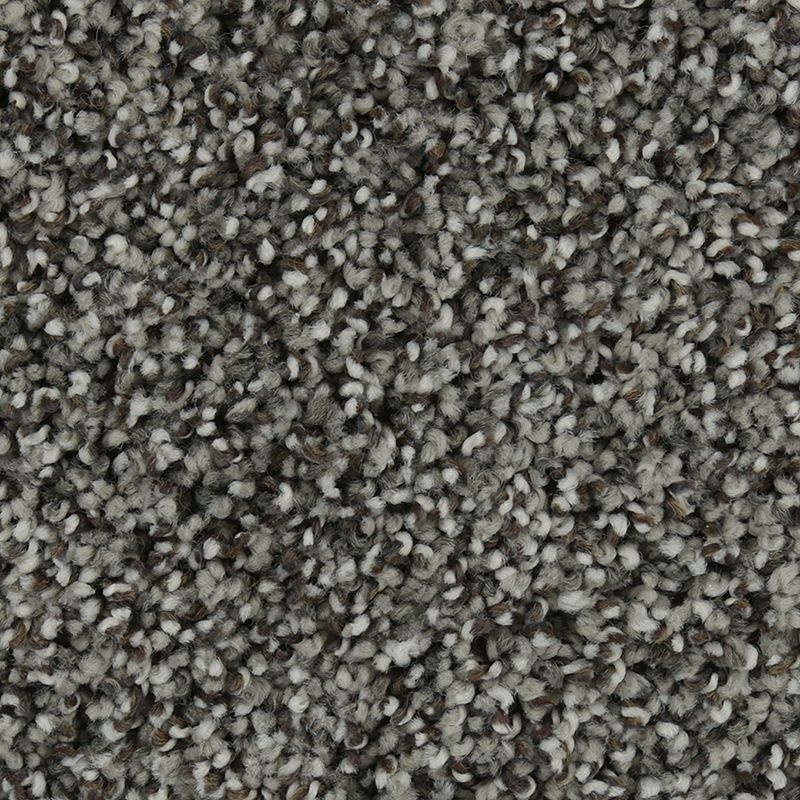 Natural Opulence I Mineral Triexta Carpet - Textured