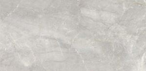 La Dolce Vita Elizabeth Argento Porcelain Tile - Matte