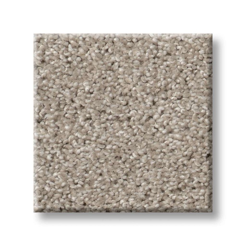 Foundations Sweet Inspiration I Catnip Nylon Carpet - Textured