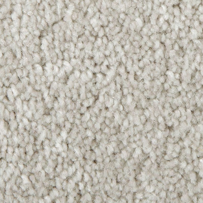 Distinct Beauty I Old Town Polyester Carpet - Textured