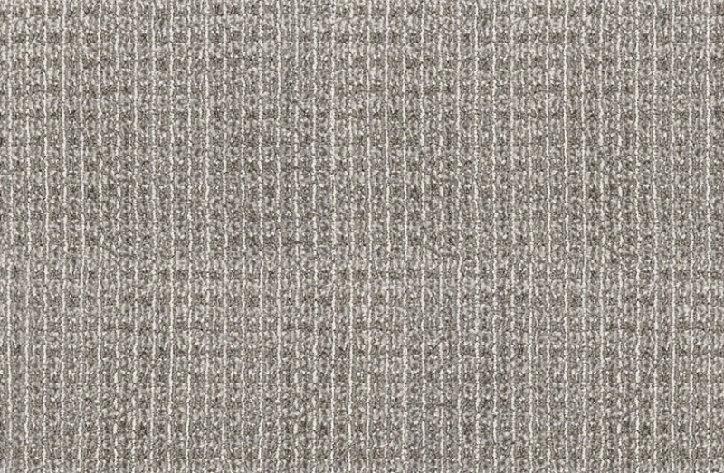 Pet Guard Sir Leon Cinder Solution Dyed Polyes Carpet - Loop