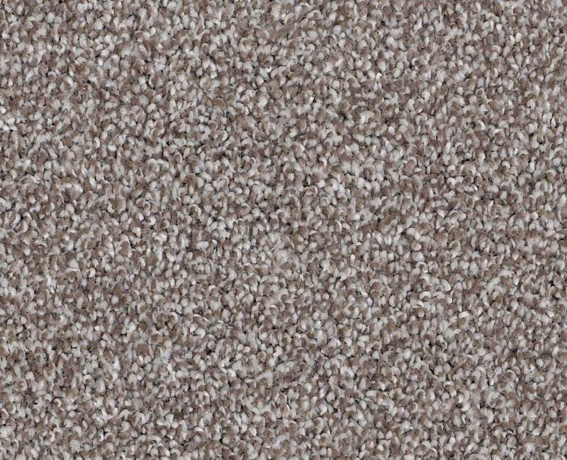 Anso Open III (T) Moccasin Nylon Carpet - Textured