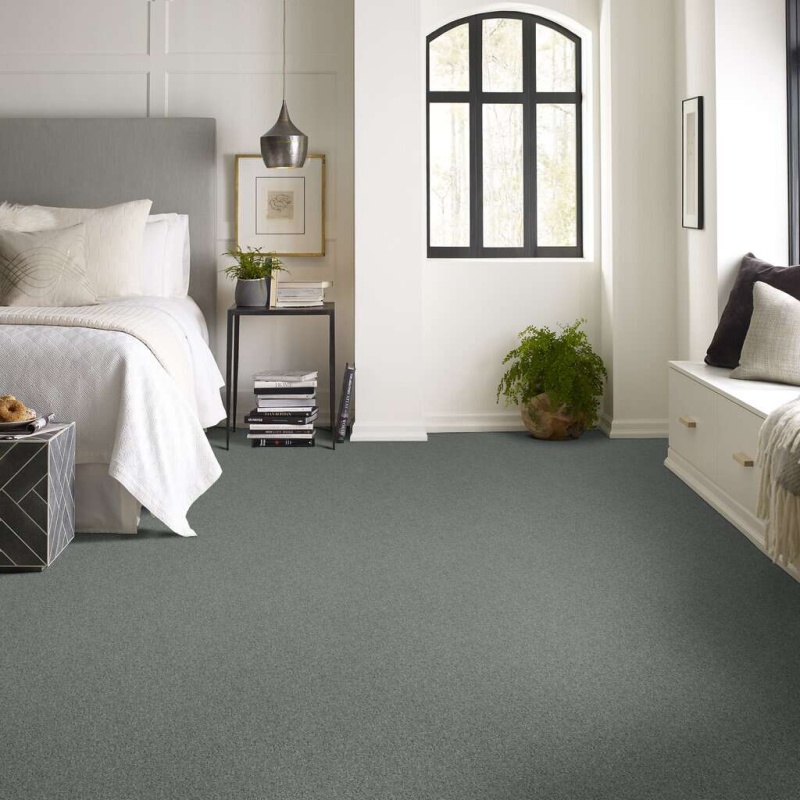 Soft Shades My Choice Iii Silver Sage Nylon Carpet - Textured