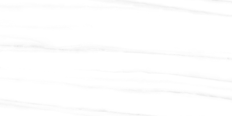Splendor White Dolomite Porcelain Tile - Matte - 12" x 24"