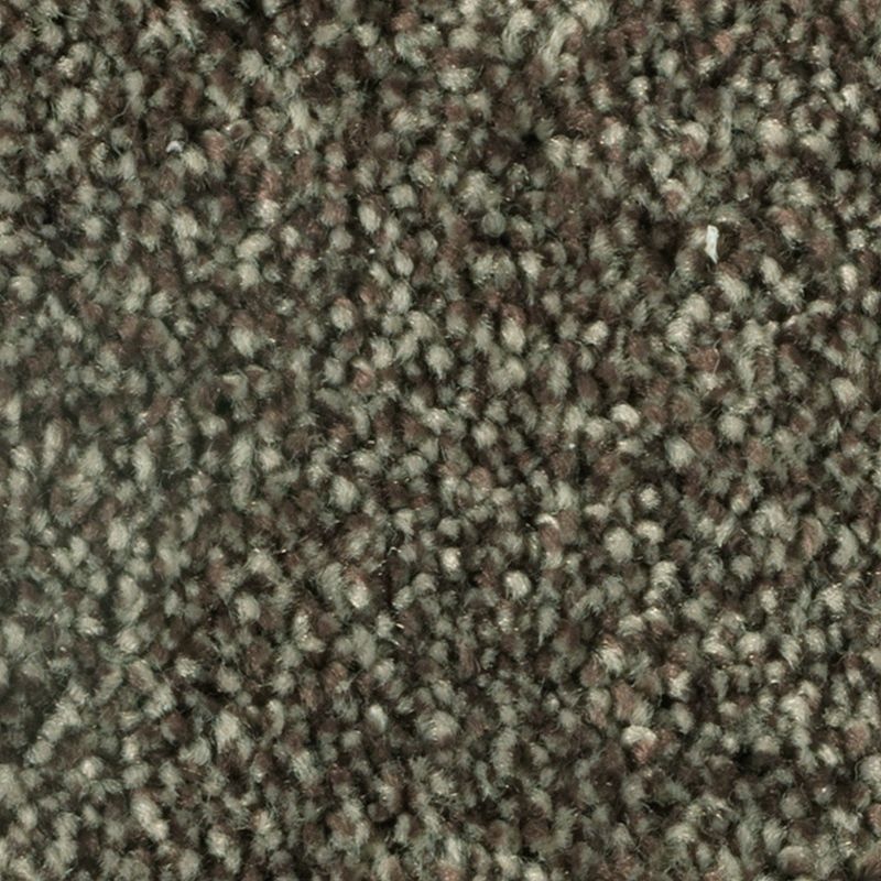 Distinct Beauty I Castile Polyester Carpet - Textured