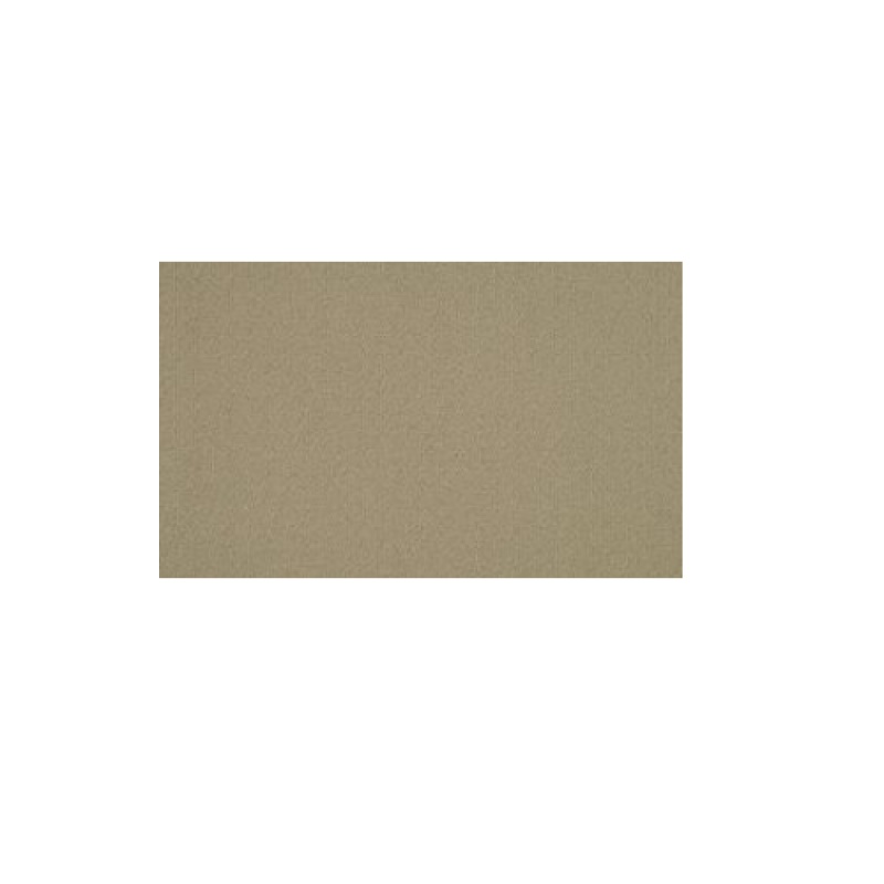 Color Accents Lichen Nylon Carpet Tile - Loop - 24" X 24"