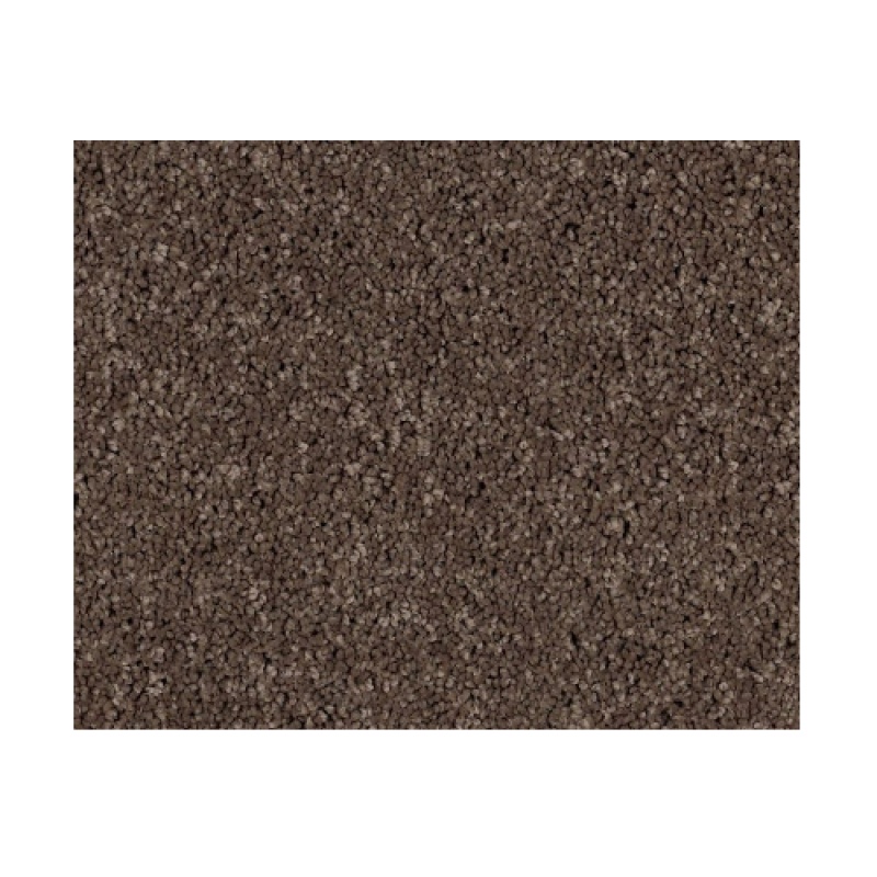 Castle Pv Iii Spring Wood Nylon Carpet - Textured