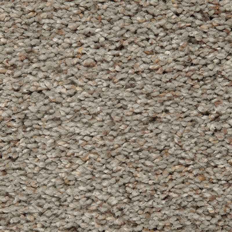 Serene Harmony Naturale Triexta Carpet - Textured