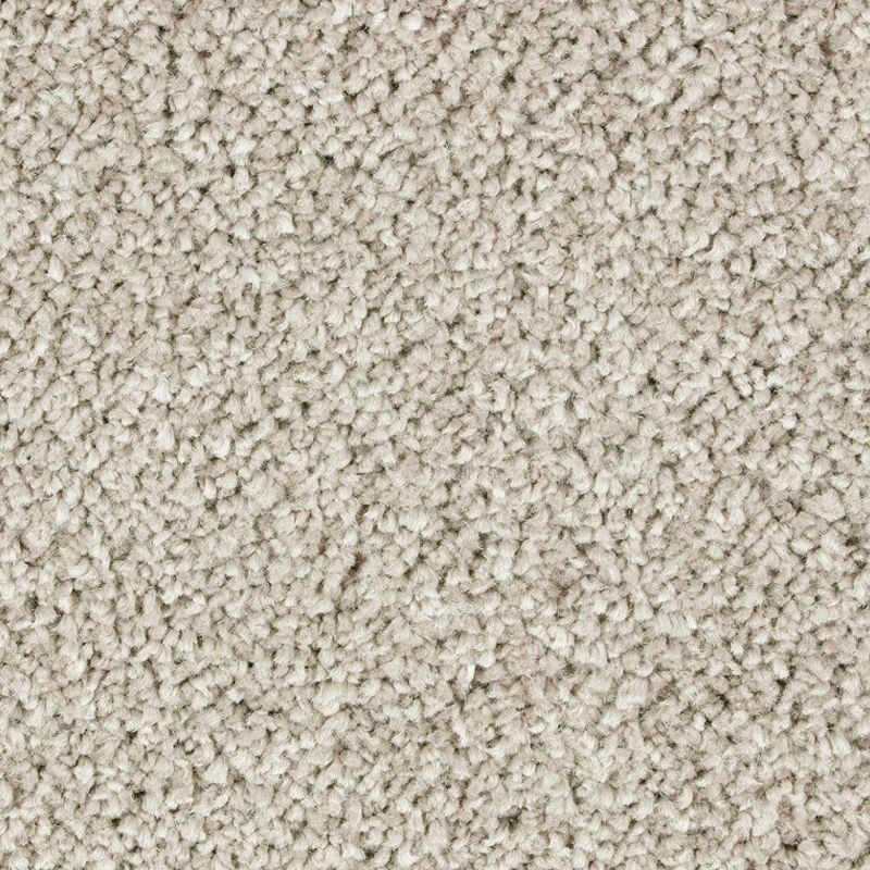 Exquisite Attraction Rustic Charm Triexta Carpet - Textured