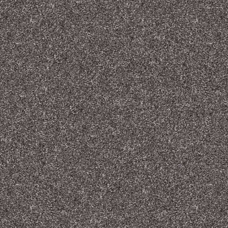 Pet Perfect Yes You Can I 15' Shadow Polyester Carpet
