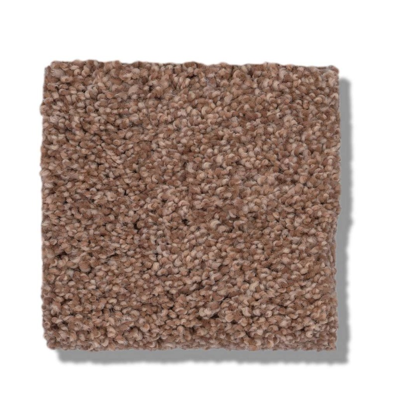 Caress By Shaw Cozy Harbor I Sunbaked Nylon Carpet - Textured