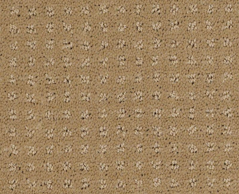Enduring Comfort Cologne Mist Nylon Carpet - Pattern