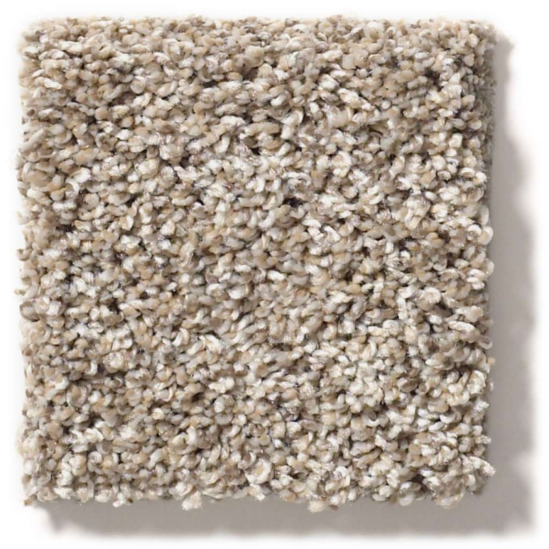 Simply The Best After It II Neutral Ground Textured Polyester Carpet