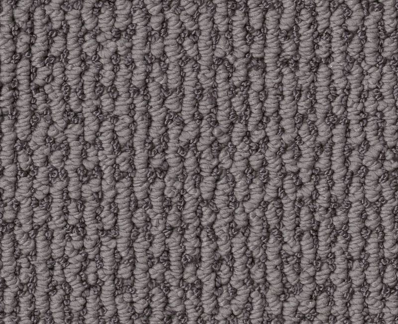 Cunning Choice Dolphin Polyester Carpet - Textured