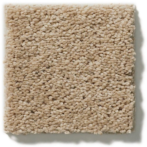 Secretly Cookie Dough Nylon Carpet - Textured