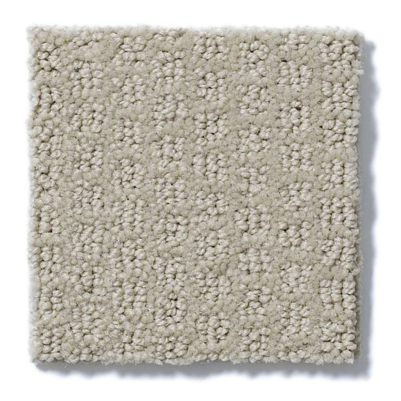 Simply The Best Pacific Trails Silver Leaf Nylon Carpet - Pattern