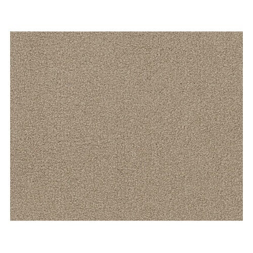 Waikiki Soft Shadow Nylon Carpet - Textured