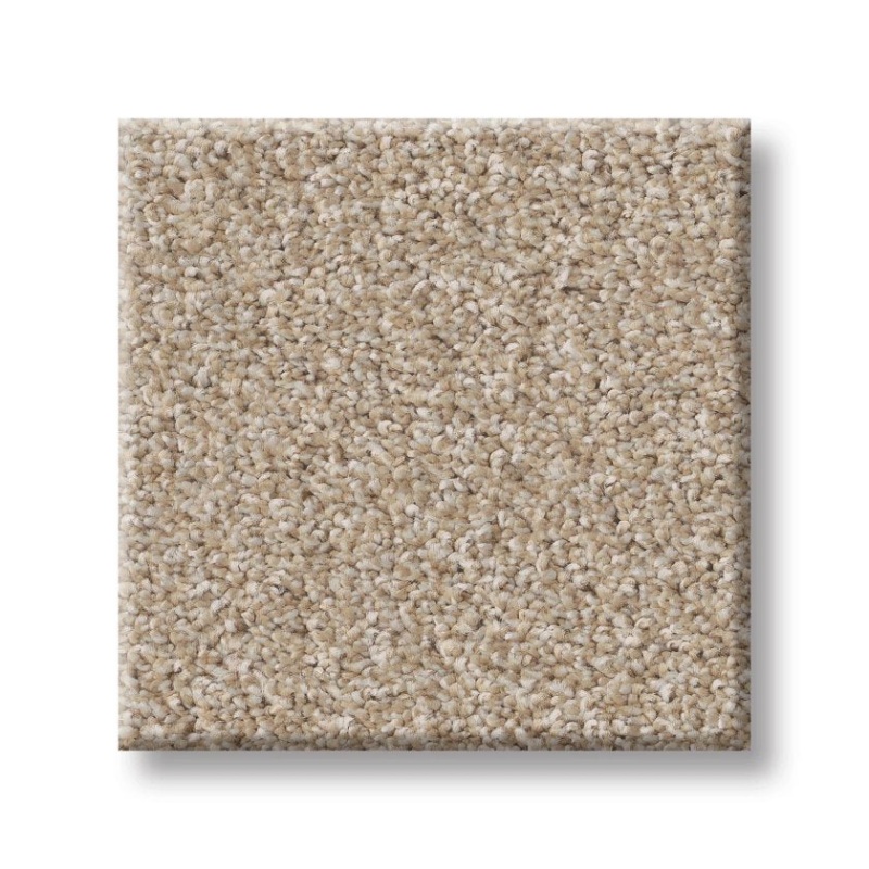 Imaginable Ii Latte Polyester Carpet - Textured
