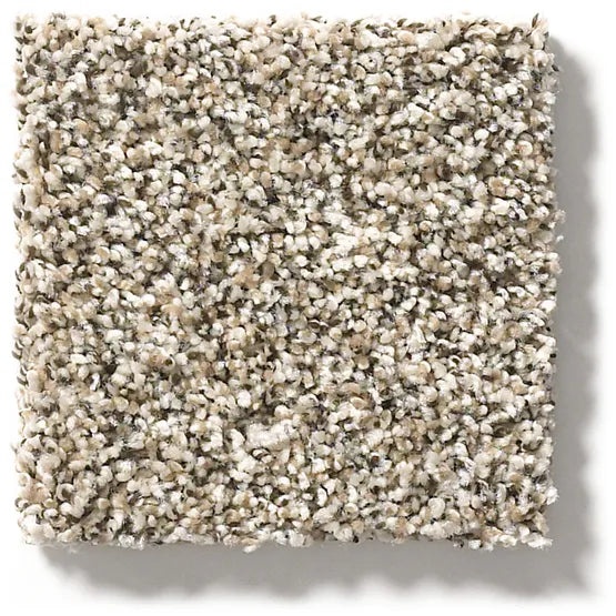 Carmel Coast Clamshell Nylon Carpet - Textured