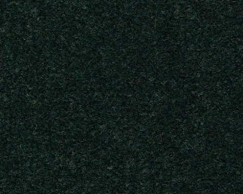 Emphatic Ii 36 Mountain Pine Nylon Carpet - Textured