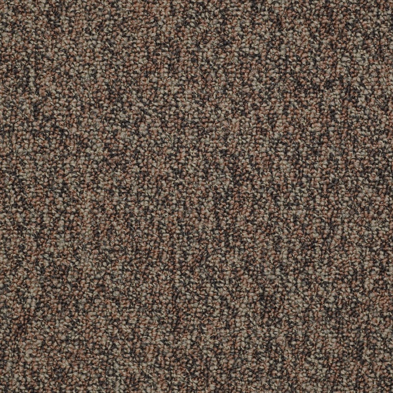 No Limits 26 Border Nylon Carpet - Textured