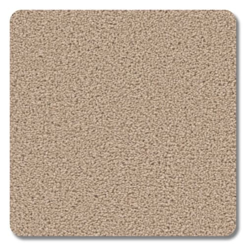 Riverbend Westwood Polyester Carpet - Textured