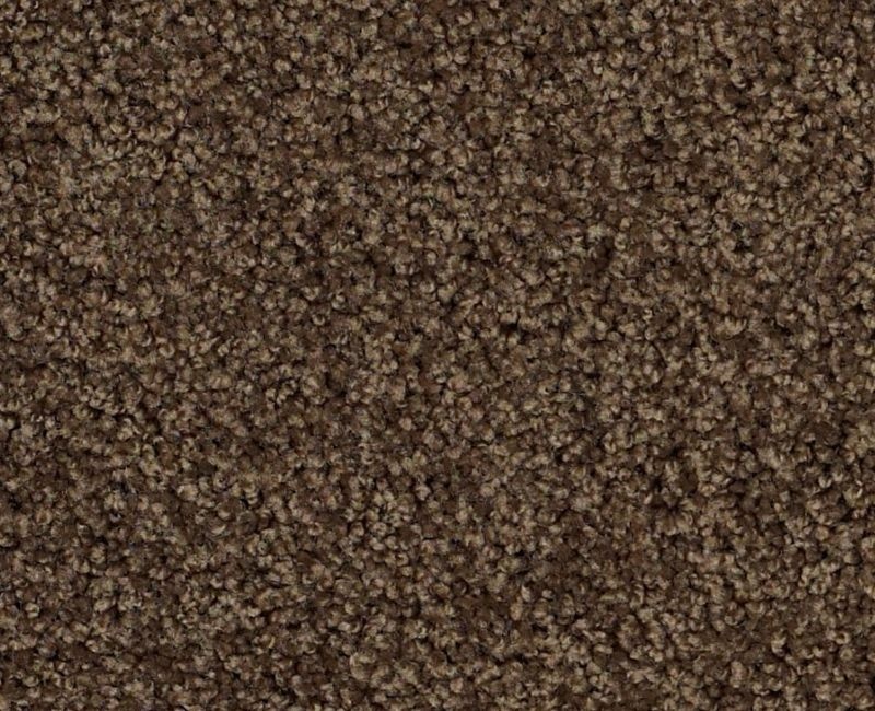 Playa Blanca Coffee Bean Nylon Carpet - Textured