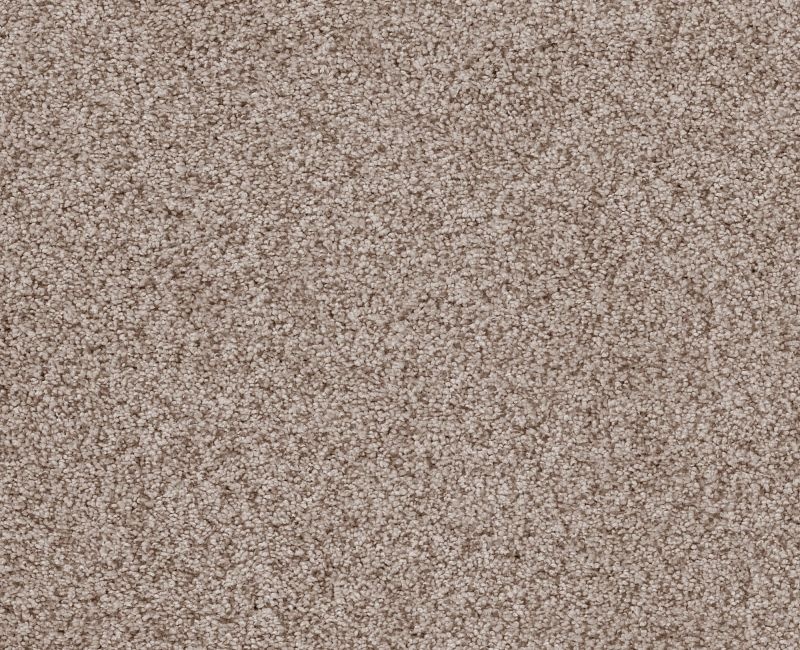 Sumptuous I Earthen Nylon Carpet - Textured