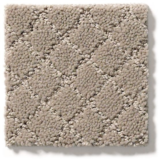 Pet Perfect Pawnache Mocha Cream Nylon Carpet - Pattern