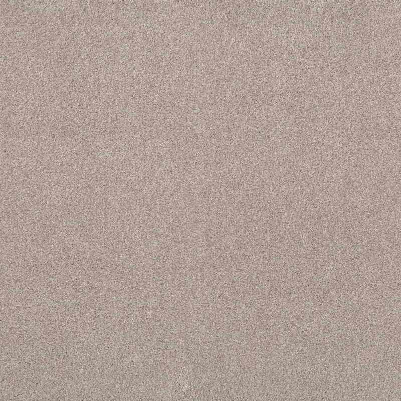 Foundations Live On Comfort Warm Sand Nylon Carpet