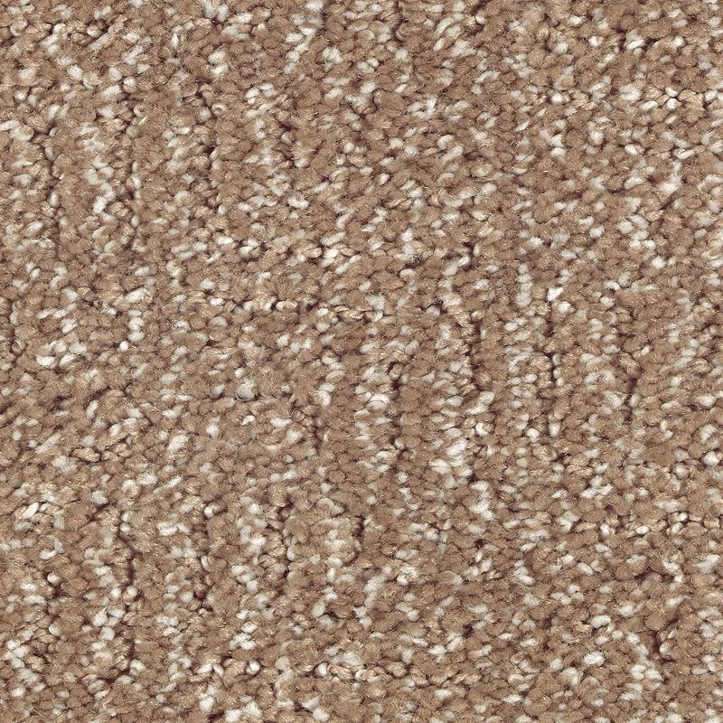 Natural Treasure Pine Cone Triexta Carpet - Pattern
