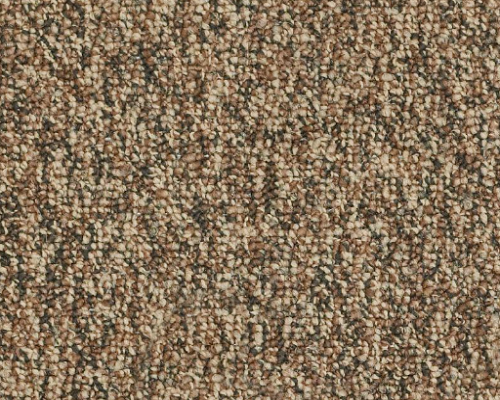 Franchise II 28 Bedrock Nylon Carpet - Loop