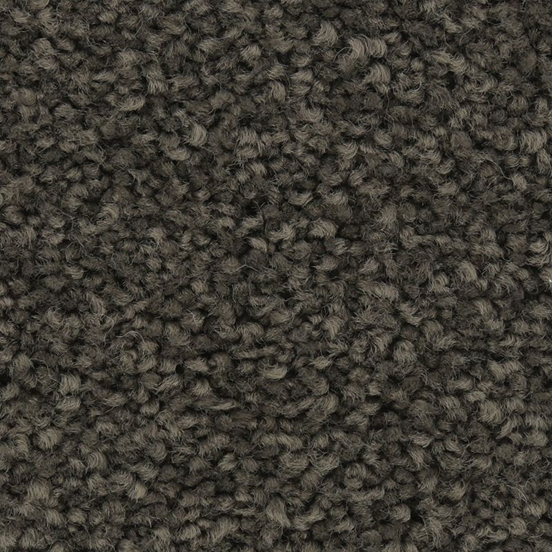 Coastal Fashion II Mystery Textured Nylon Carpet