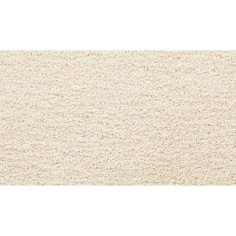 Pleasant Touch Romano Triexta Carpet - Textured