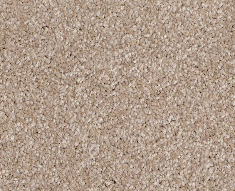 Anso Open I (S) Havana Nylon Carpet - Textured