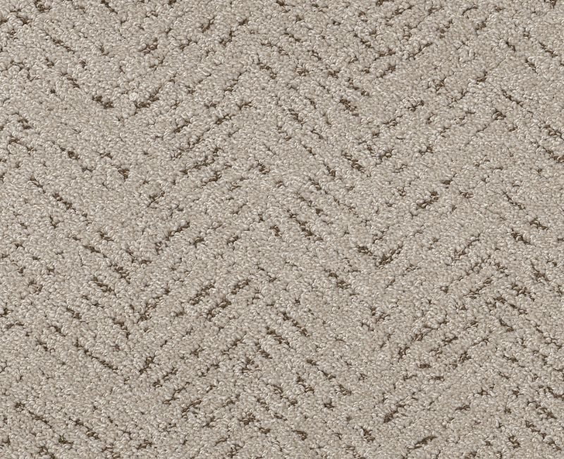 Showing Out River Birch Polyester Carpet - Pattern