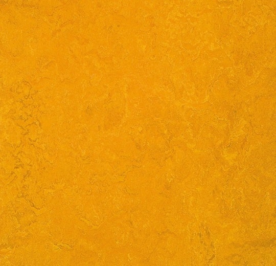 Marmoleum Composition Sheet Mcs Golden Sunset Linoleum - Topshield Pro