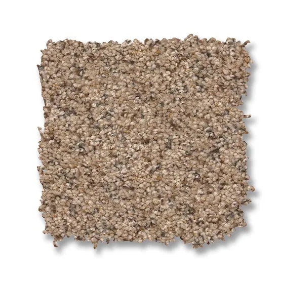 Reawaken Topanga Canyon Basic Tan Nylon Carpet - Textured