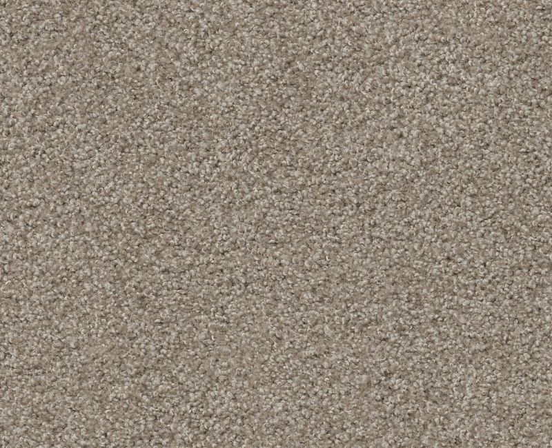 Anso Open I (T) Cocoa Nylon Carpet - Textured